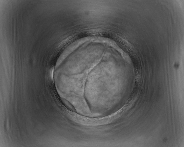 X0000099980047200806201436