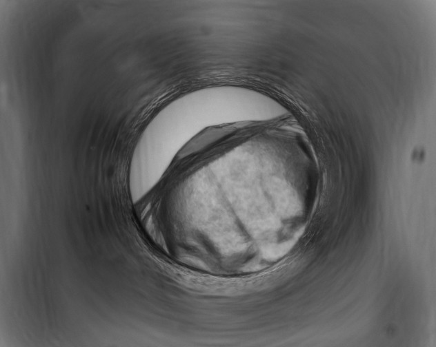 X0000099980048200806201436