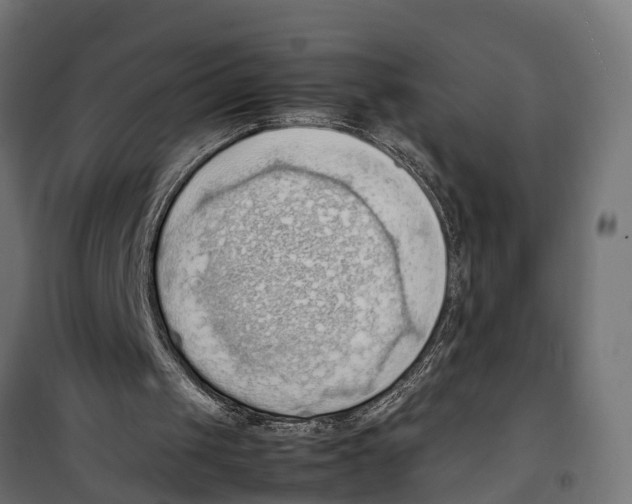 X0000099980049200806201435