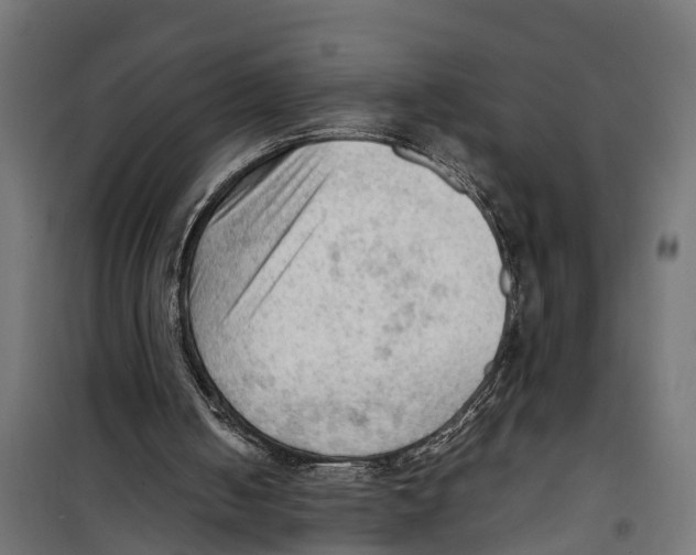 X0000099980050200806201435