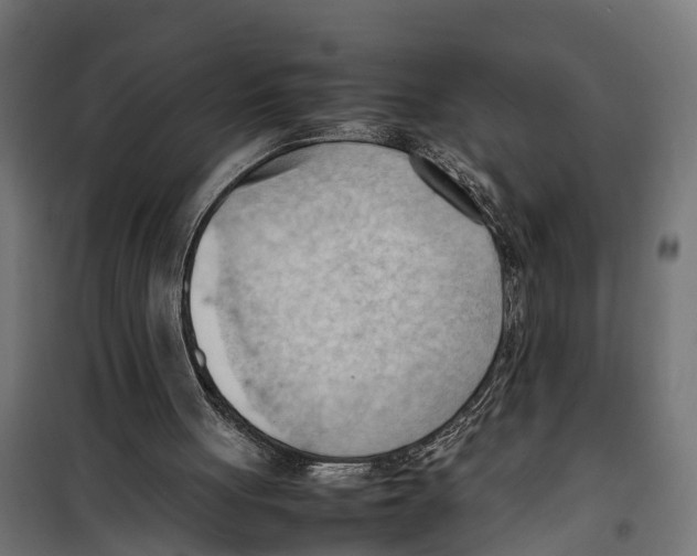 X0000099980051200806201435