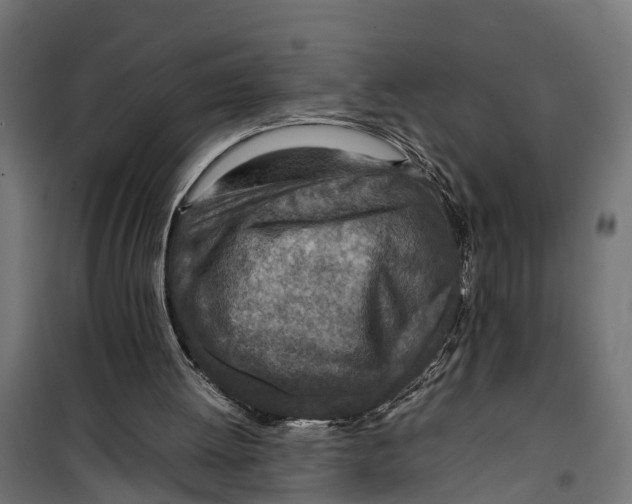 X0000099980052200806201435