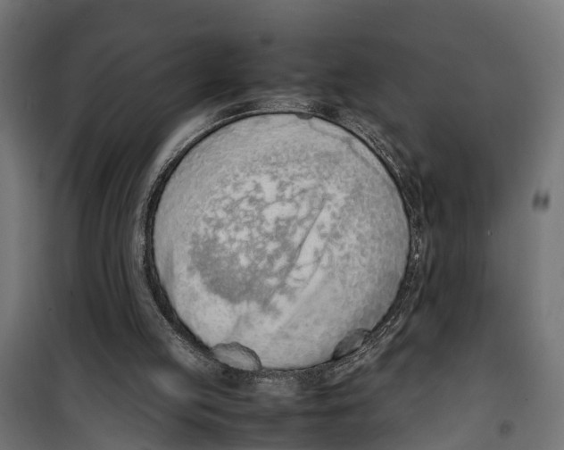 X0000099980053200806201435