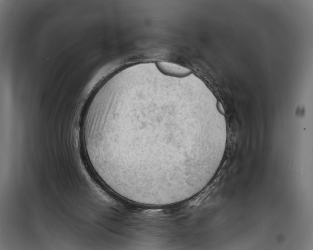 X0000099980054200806201435