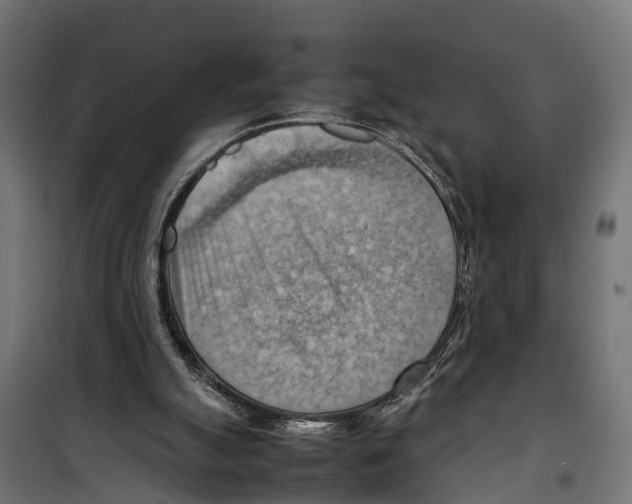 X0000099980055200806201435