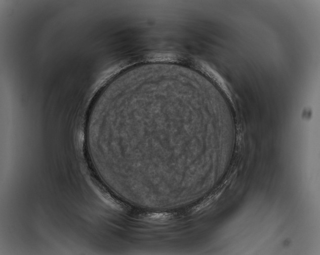 X0000099980059200806201435