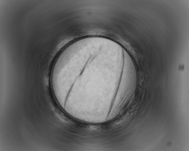 X0000099980060200806201435