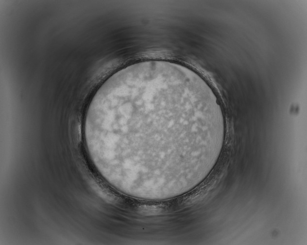 X0000099980061200806201435