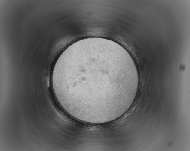 X0000099980062200806201435