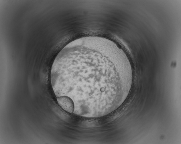 X0000099980065200806201435