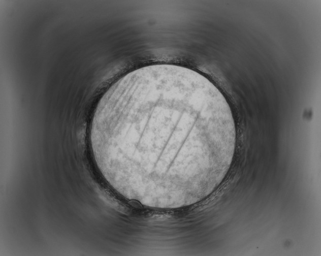 X0000099980066200806201435