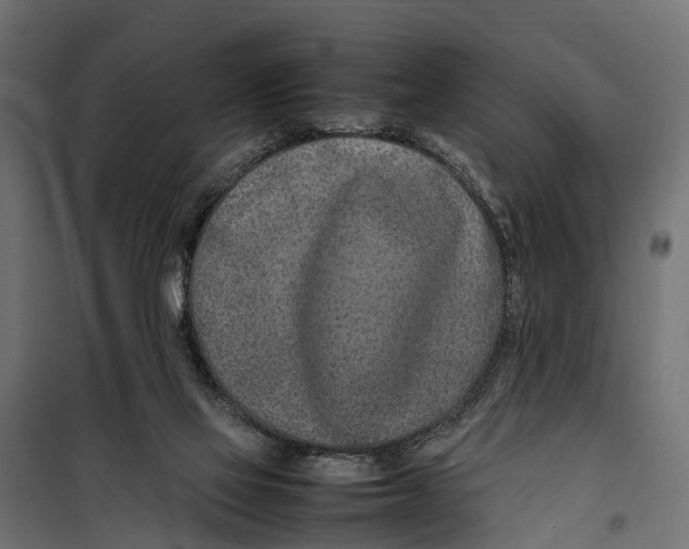 X0000099980069200806201435