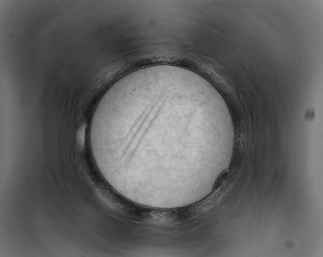 X0000099980070200806201435