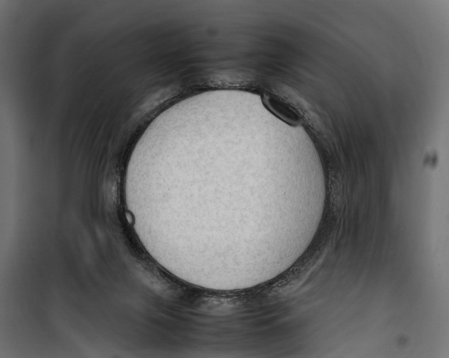 X0000099980071200806201435