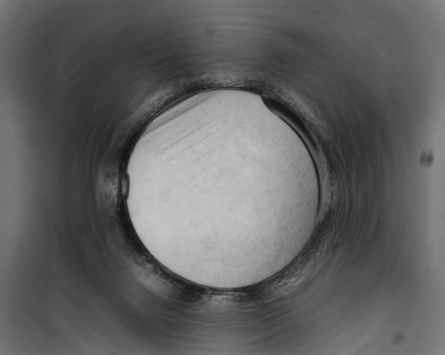 X0000099980072200806201435