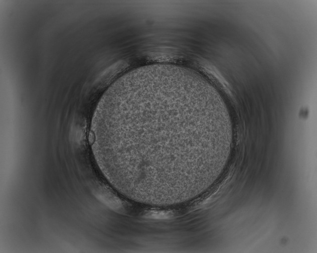 X0000099980073200806201435