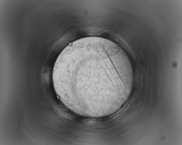 X0000099980074200806201435