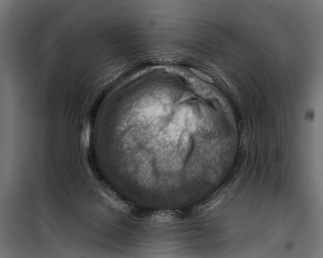 X0000099980076200806201435