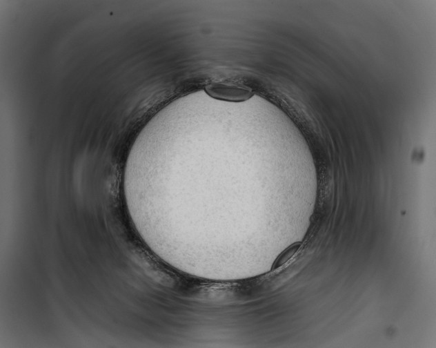 X0000099980078200806201435