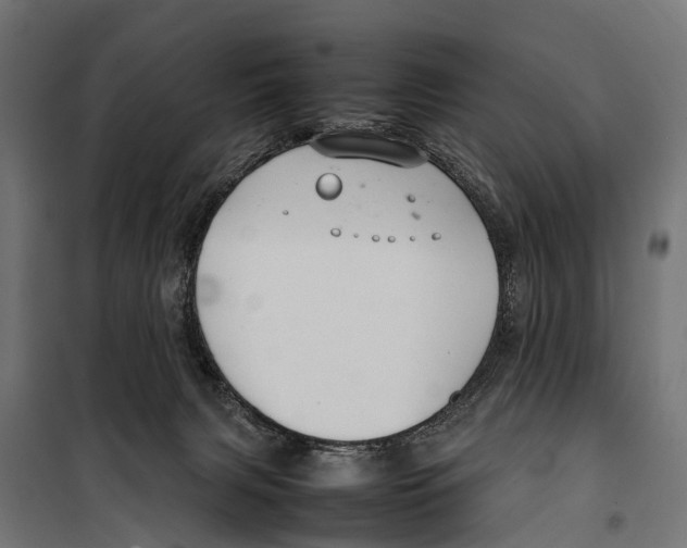 X0000099980079200806201435