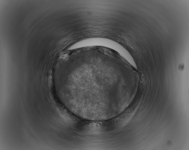 X0000099980080200806201435