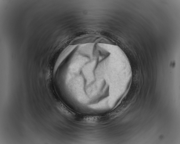 X0000099980084200806201435