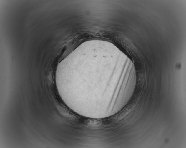 X0000099980088200806201435