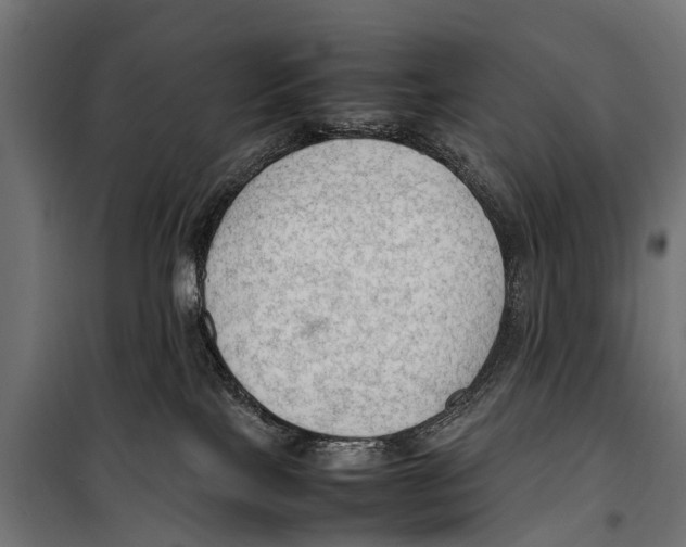 X0000099980089200806201435