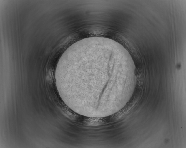 X0000099980093200806201435