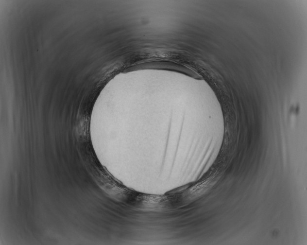 X0000099980096200806201436