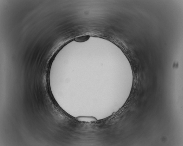 X0000099980098200806201435