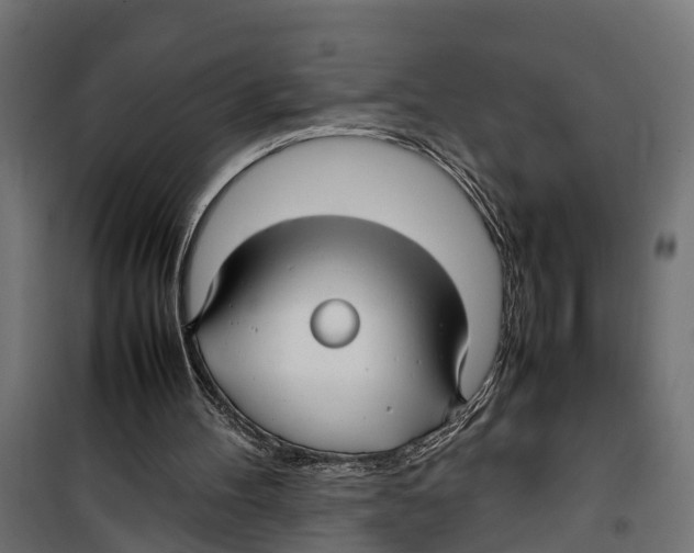 X0000099980100200806201435