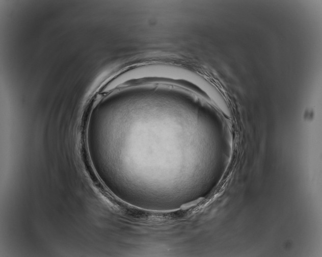 X0000099980101200806201435