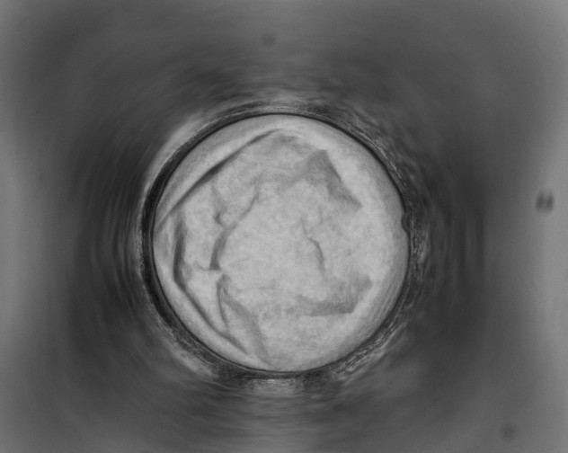 X0000099980102200806201435