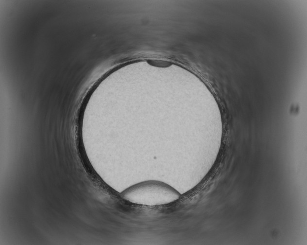 X0000099980103200806201435