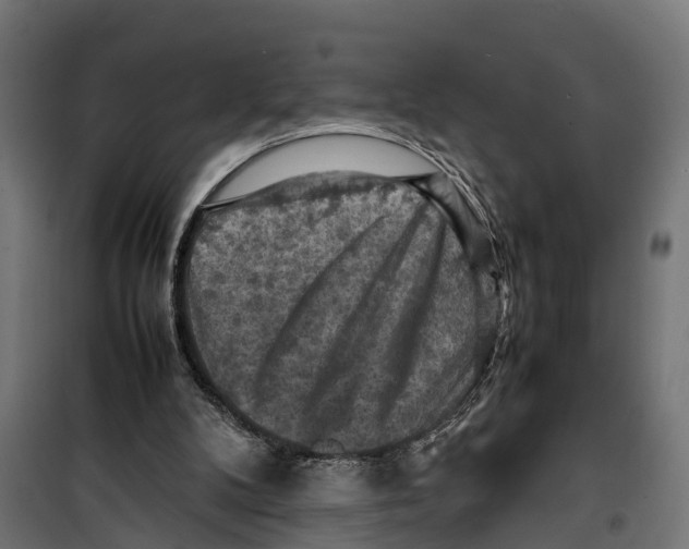 X0000099980104200806201435