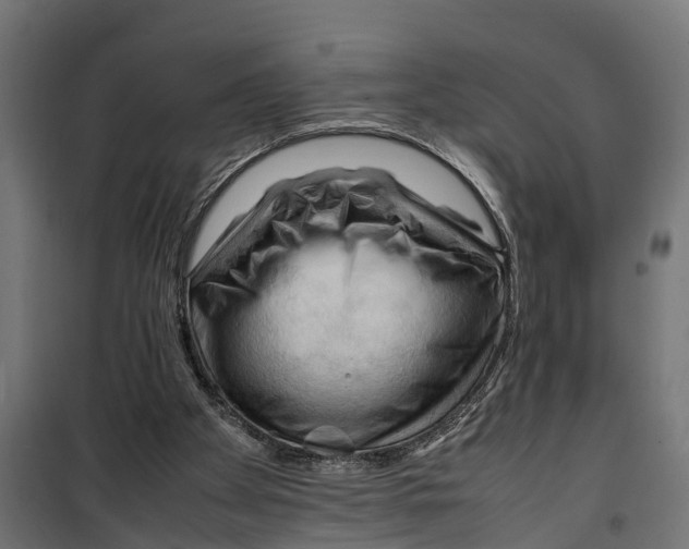 X0000099980105200806201435