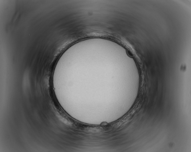 X0000099980106200806201435