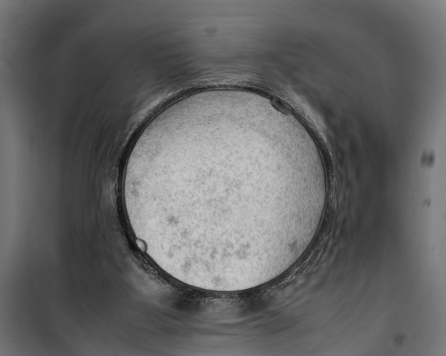 X0000099980107200806201435