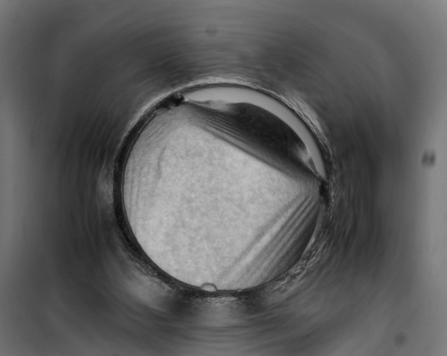 X0000099980108200806201435