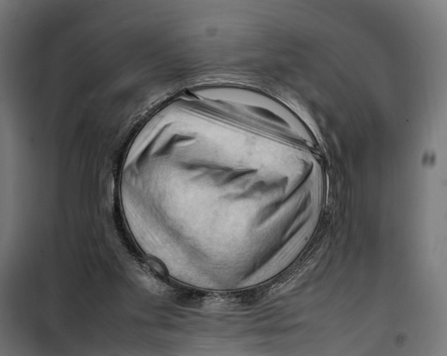 X0000099980109200806201435