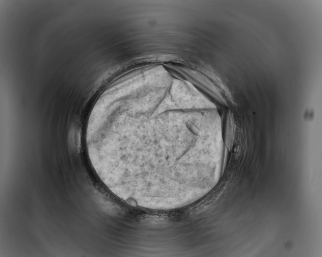 X0000099980110200806201435