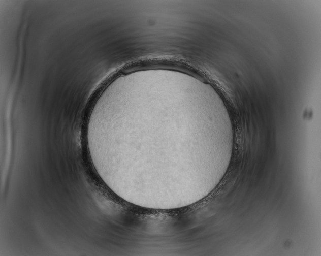 X0000099980112200806201435