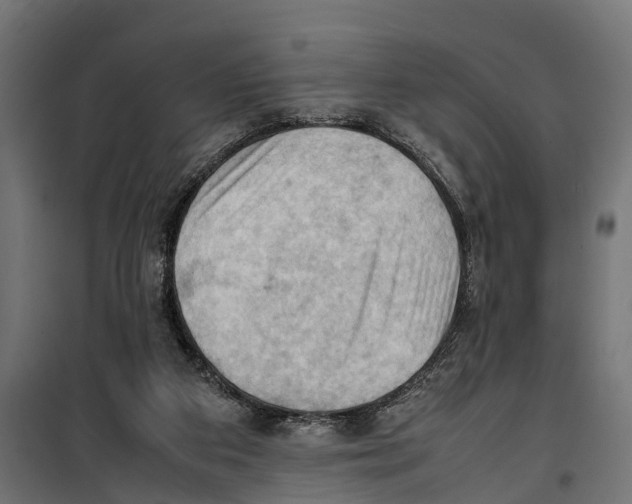 X0000099980113200806201435