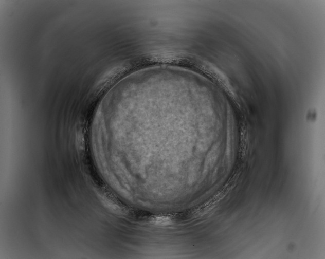 X0000099980114200806201435