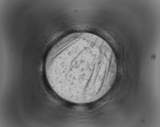 X0000099980115200806201435