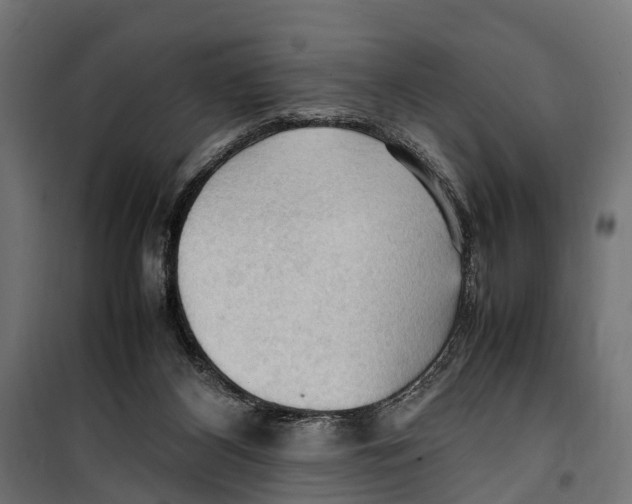 X0000099980116200806201435