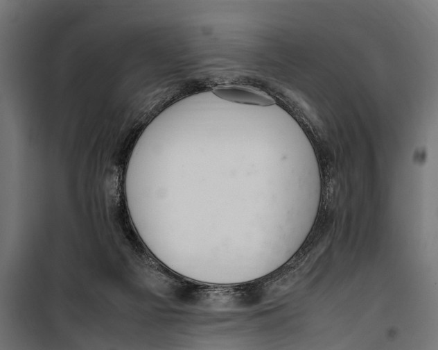 X0000099980121200806201435