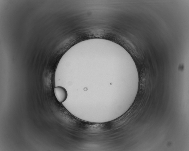 X0000099980122200806201435