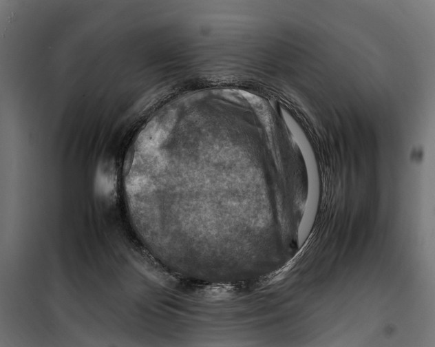 X0000099980124200806201434